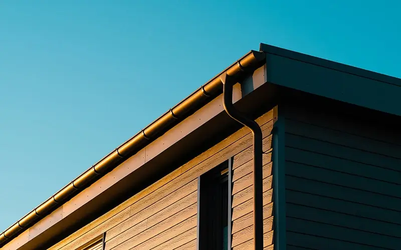 Gutters on side of house