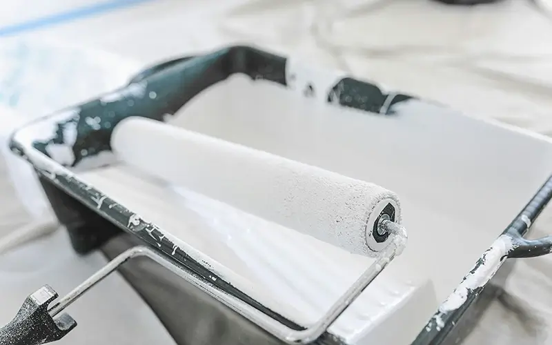 Paint roller in tray