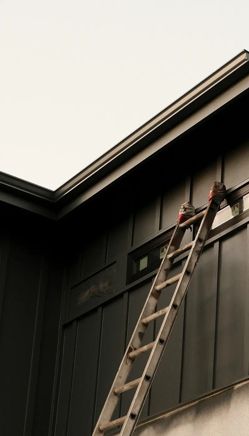 Ladder leaning against house for siding install
